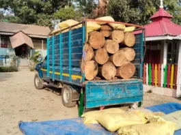 Forest officials thwart timber smuggling operation in Fulbari More, seize lorry bound for Bihar. Source: Siliguri Journal